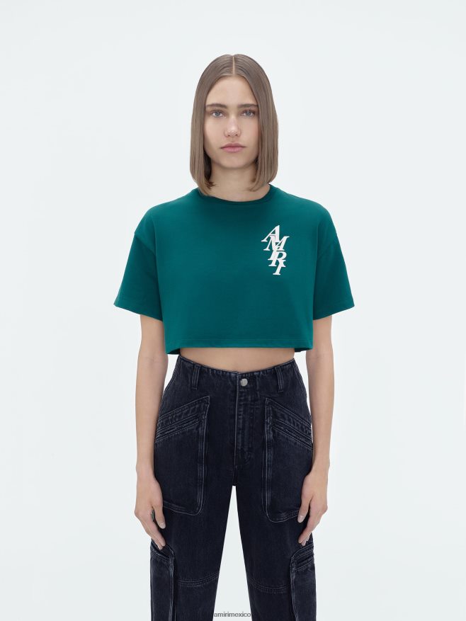 AMIRI mujer selva camiseta corta brand stack 6TLR20244